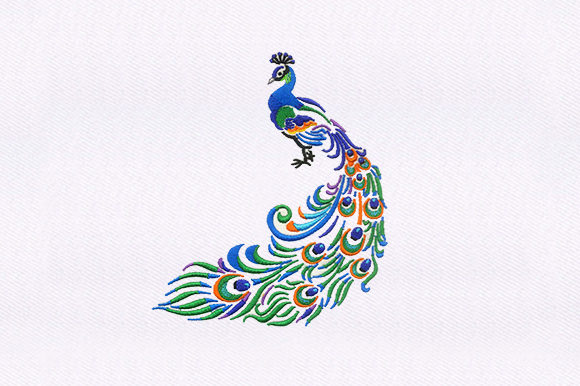 Indian Peacock Embroidery Review